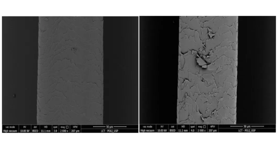 Diseño sin título (10)