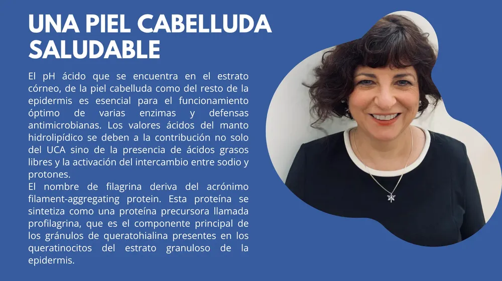 Libro AAQC (8)